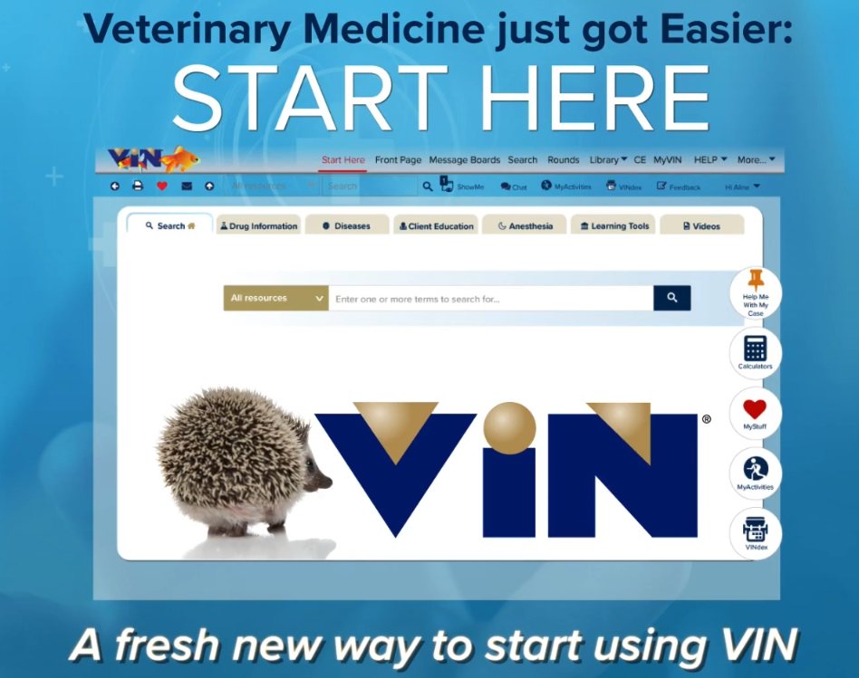 VIN website image