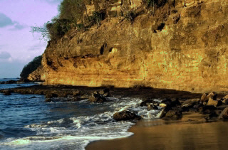 Color Replace Function - After Color Replace Function - After